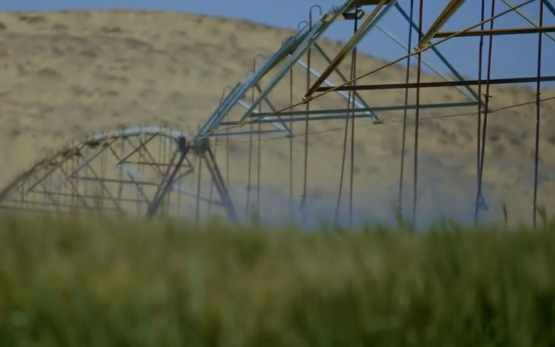 45kW Solar Center Pivot Irrigation System in Aswan, Egypt