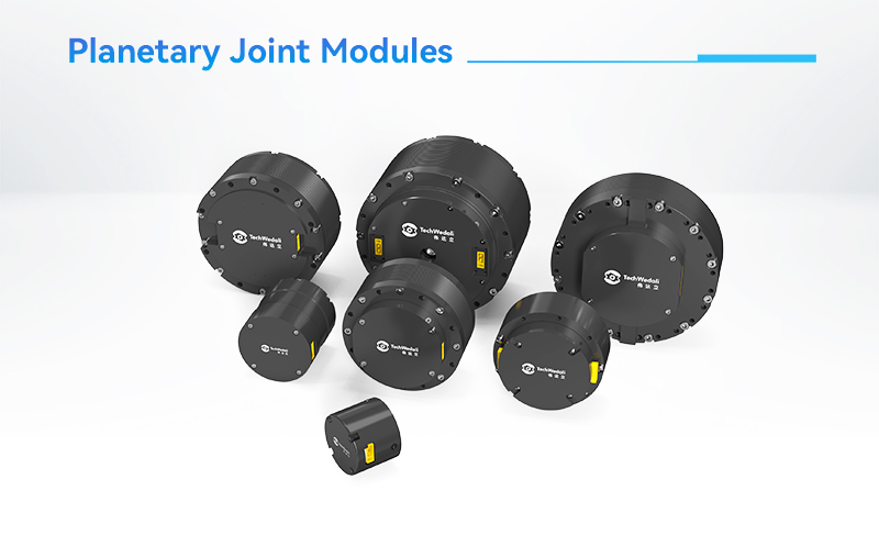Planetary Joint Modules
