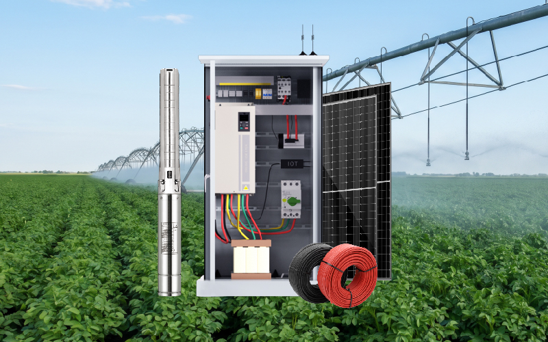 Potato Irrigation