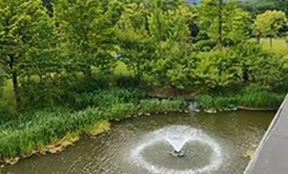 Landscape Fountain