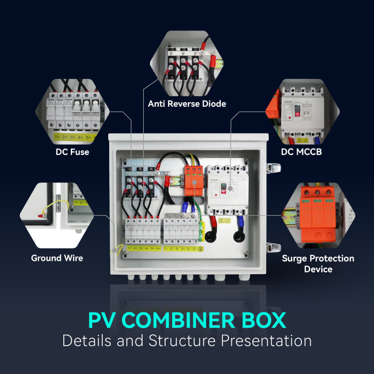 Internal Structure Display