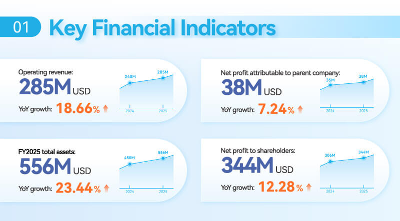 Key financial indicators