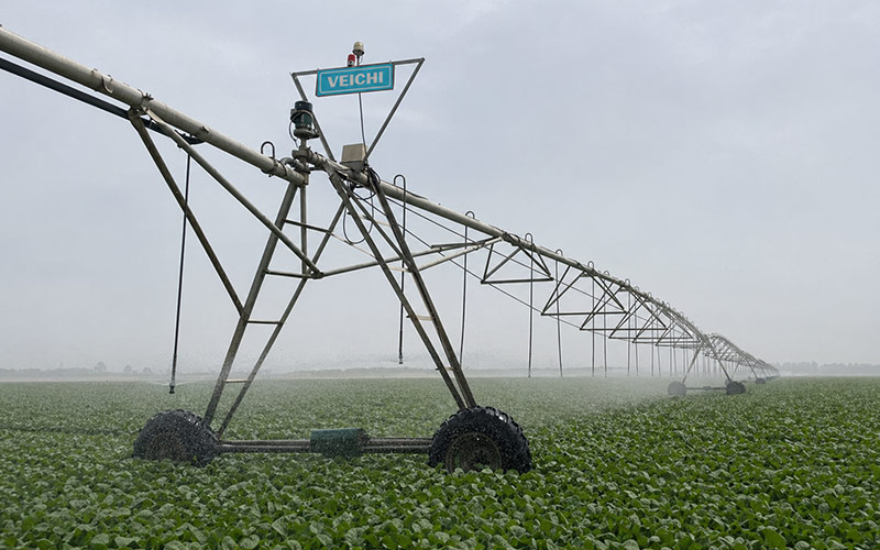 Soybean Irrigation