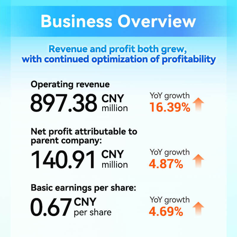 Business Overview