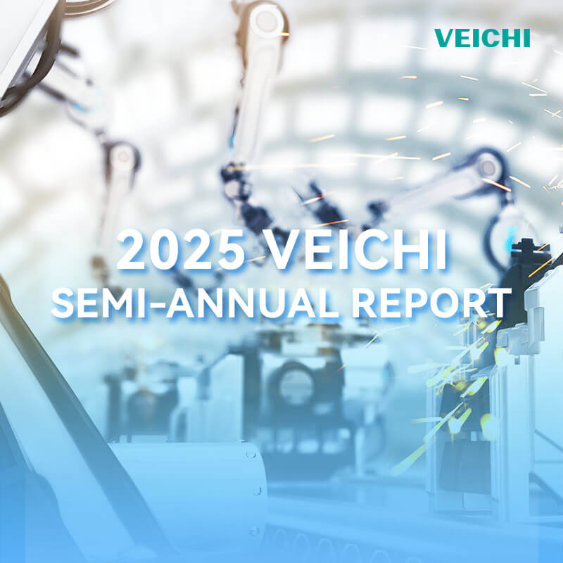 2025 H1 VEICHI Report
