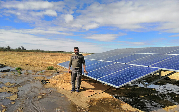 15kW Solar Water Pump Inverter in Fayum, Egypt