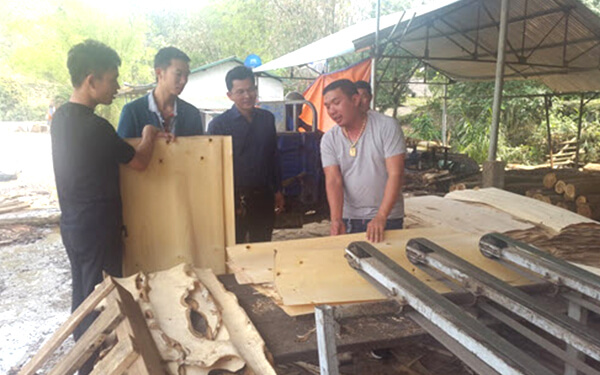 Application of VEICHI AC80C on Veneer Peeling Lathe