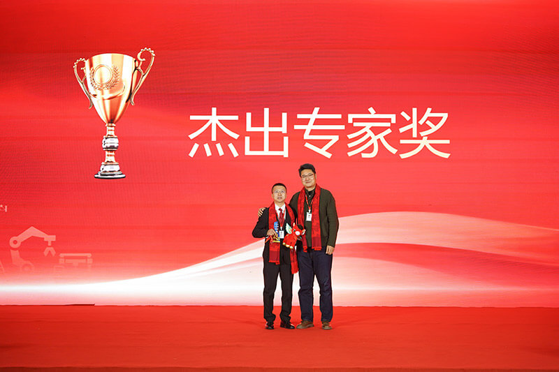 Distinguished Expert Award