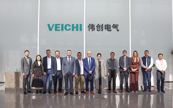 Delegation from the Foreign Trade Chamber of Bosnia and Herzegovina Visits VEICHI