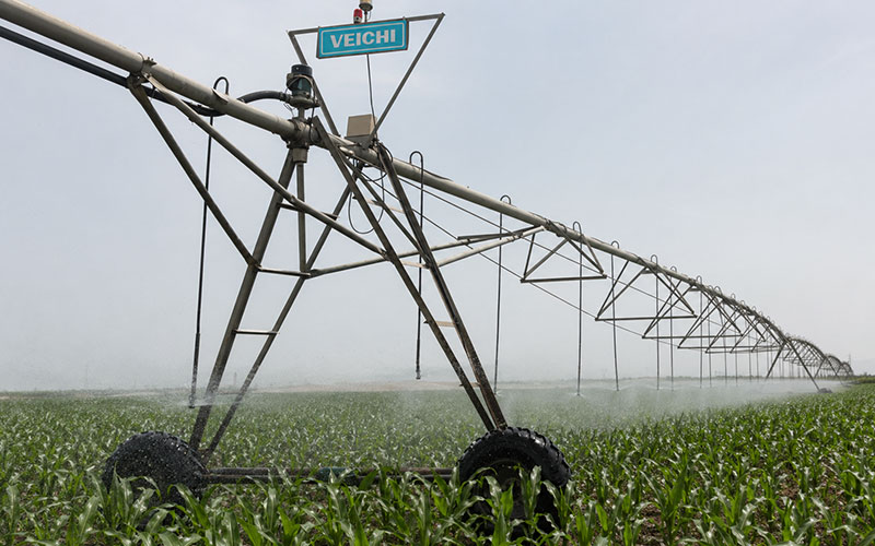 Corn Irrigation