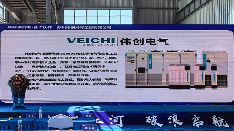Veichi Electric