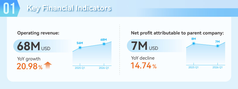 Business Overview